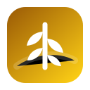 Kansas City Wheat